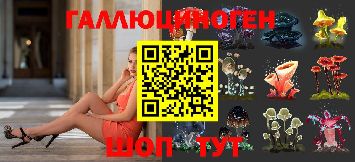 Балаково  Псилоцибиновые грибы MAGIC MUSHROOMS  Вход с VPN 